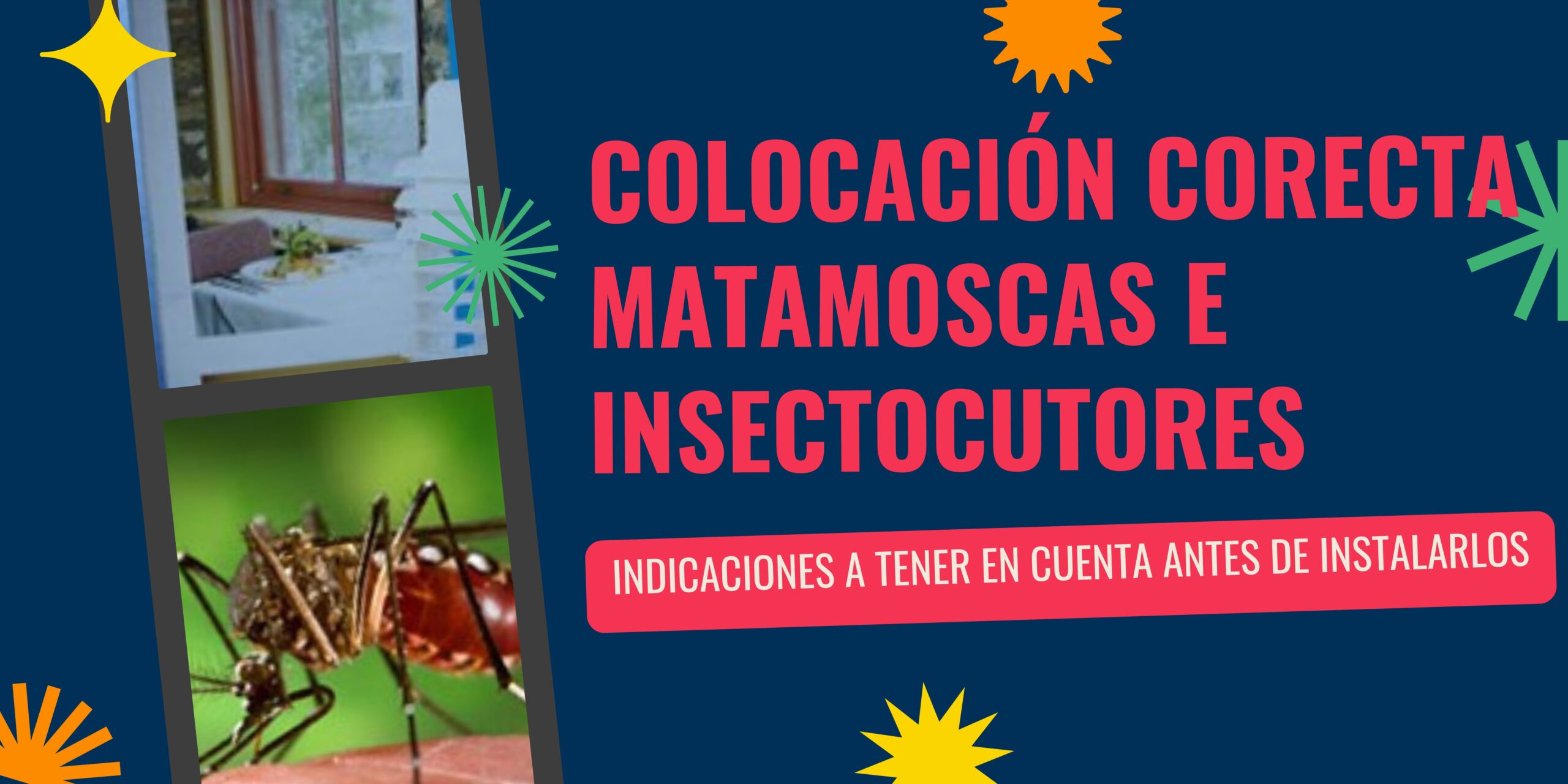 Colocación matamoscas e insectocutores